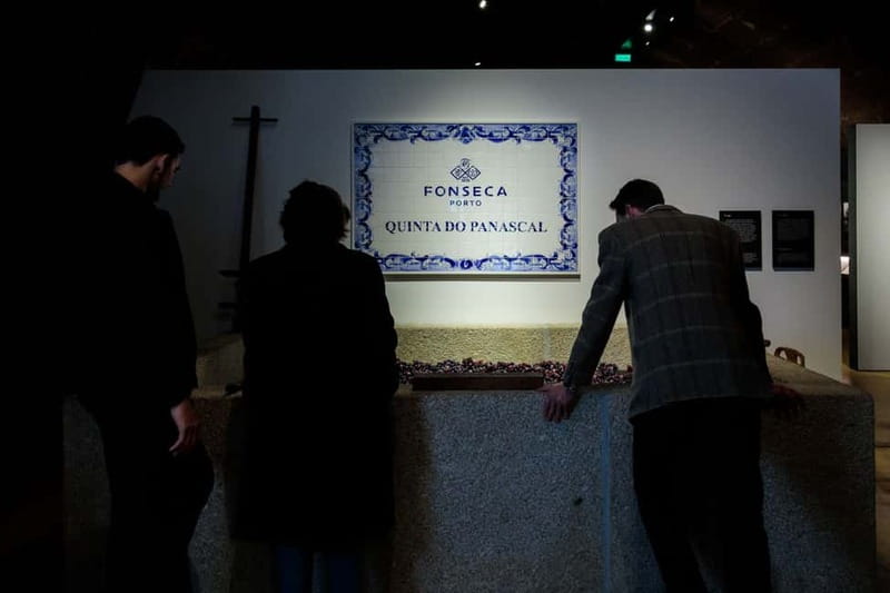 Porto: Port Cellar Visit and Wine Tasting at Fonseca - Should you book Fonseca?