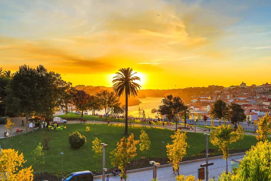 Porto: Sunset Walking Tour with Port Wine and Views - Aliados Avenue, Carmo, and Clérigos Tower