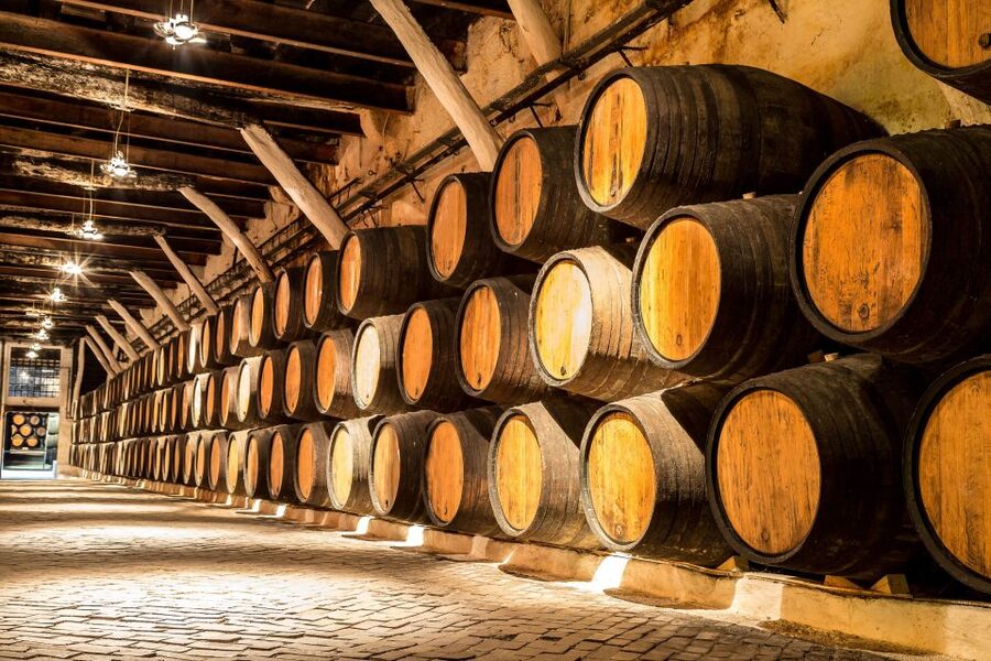 Porto: Tuk-Tuk Tour, Douro River Cruise, and Wine Tasting - Languages, group size, and practical comfort
