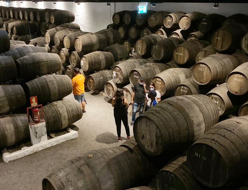 Porto: Wine Tasting with Tapas Walking Tour - What the $53 price really buys