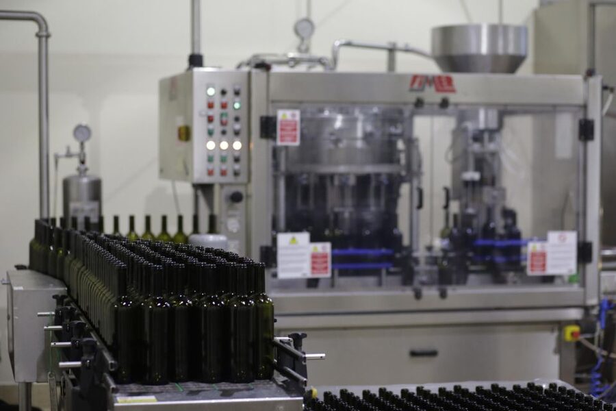 Pramaggiore: Ornella Bellia Winery Guided Tour & Tasting - From vineyard rows to the bottling room