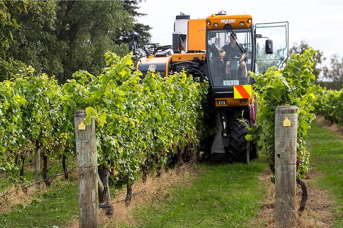 Premium 4 -Best Wineries Napier Hawke's Bay Tour, 5.5h - 6Hours - Key points to know