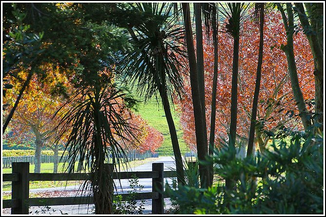 Premium 4 -Best Wineries Napier Hawke's Bay Tour, 5.5h - 6Hours - Historic estates and New Zealand wine history