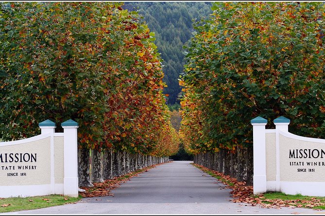 Premium 4 -Best Wineries Napier Hawke's Bay Tour, 5.5h - 6Hours - The guides make the difference