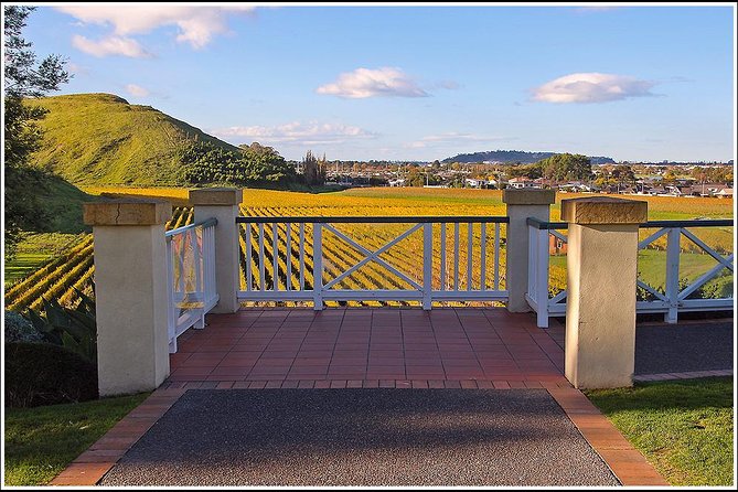 Premium 4 -Best Wineries Napier Hawke's Bay Tour, 5.5h - 6Hours - Natural wines, a vineyard walk, and lunch