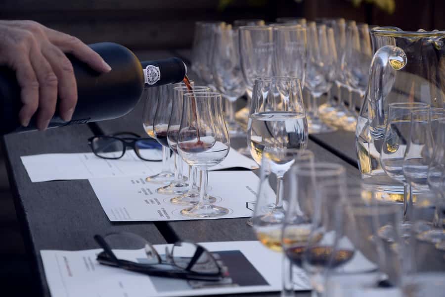Premium Argentinian Wines and Malbec Tasting Experience - Torrontés, Pinot Noir, and Malbec in one sitting