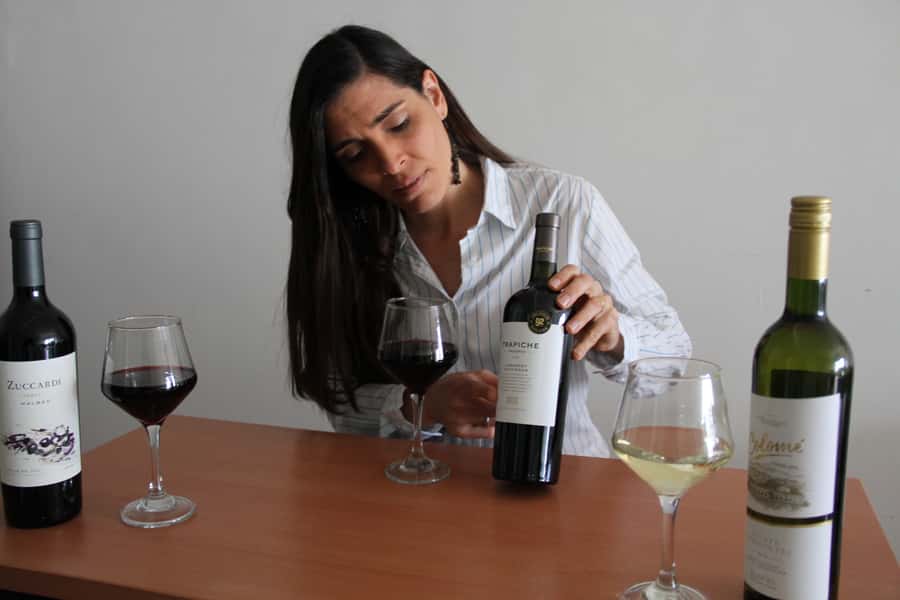 Premium Argentinian Wines and Malbec Tasting Experience - Languages, timing, and practical limits