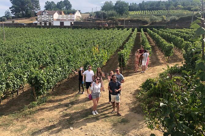 Premium Douro Valley Small-Group Tour, Wine Tasting, Lunch & Boat - Leaving Porto in a small group