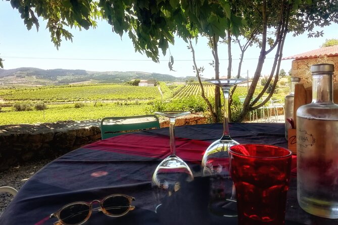 Premium Douro Valley Small-Group Tour, Wine Tasting, Lunch & Boat - Quinta do Panascal and three Port wines