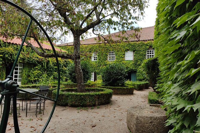 Premium Douro Valley Small-Group Tour, Wine Tasting, Lunch & Boat - The guides are a major part of the experience