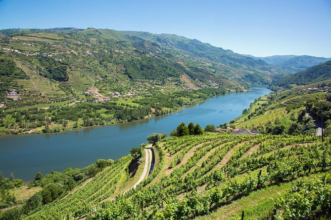 Premium Douro Valley Small-Group Tour, Wine Tasting, Lunch & Boat - Vilarinho de São Romão and the local producer visit