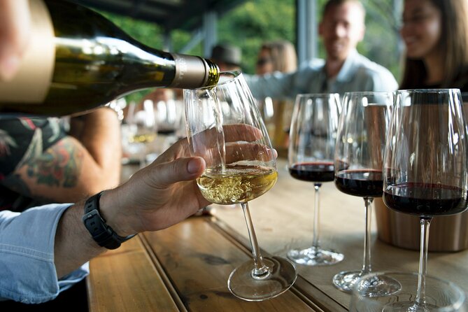 Premium Hunter Valley Wine Tour with Lunch from Sydney - Who will enjoy this Hunter Valley tour?