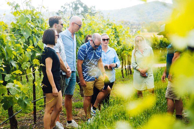 Premium Hunter Valley Wine Tour with Lunch from Sydney - Is the €159.25 price good value?