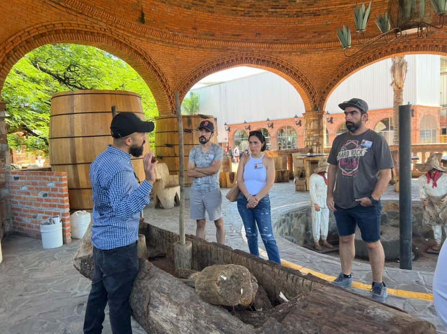 Premium Tequila Route with professional tasting - From Guadalajara to the agave fields