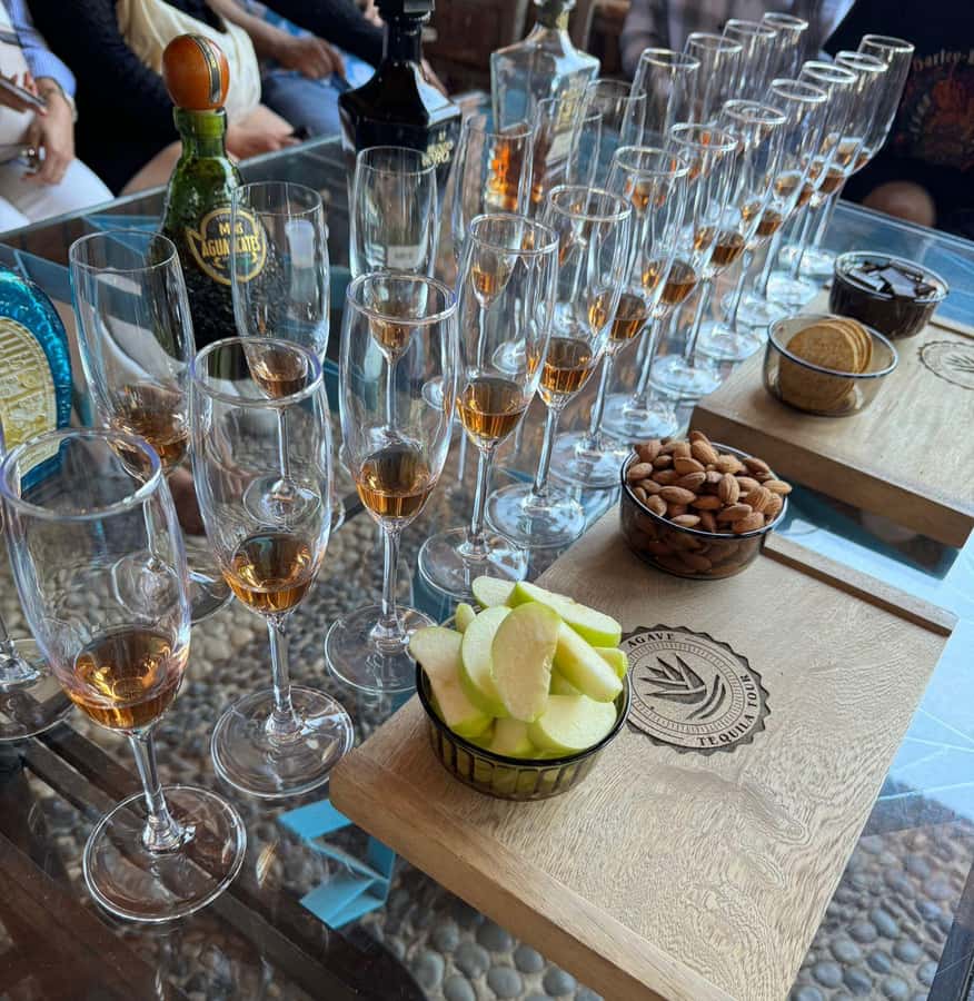 Premium Tequila Route with professional tasting - Timing, comfort, and group considerations