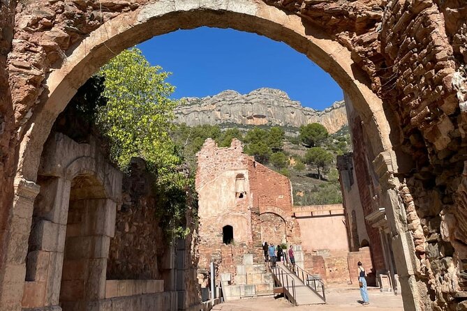 Priorat tour to 3 small wineries and hotel pick-up - Celler Devinssi and Priorat’s old vines
