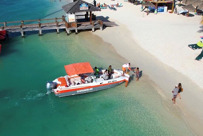 Private Aruba Snorkeling Excursion with Rum Punch - Marine life you might see