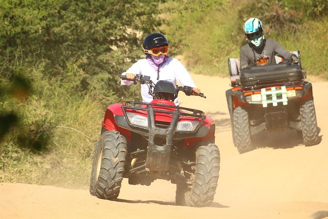 Private Can-am X3 turbo experience + Tequila Tasting - Pacific viewpoints and a thoughtful wildlife note