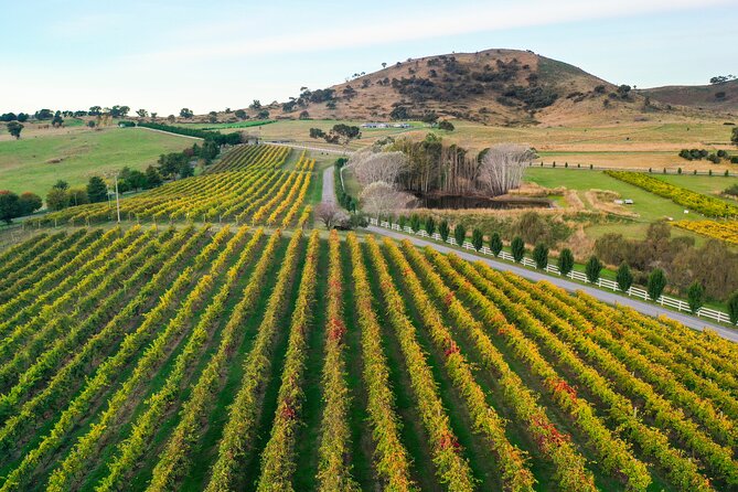 Private Canberra Winery Tour with lunch - The drive is part of the regional lesson