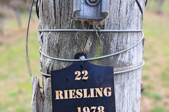 Private Canberra Winery Tour with lunch - Who will get the most from this experience