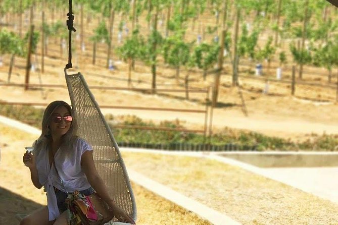 Private Curated Wine Tour in Valle de Guadalupe - What the guides add to the day