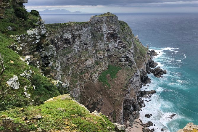 Private Day Tour to Cape Point , Penguins, Wine or Beer Tasting - A private Cape Peninsula day that covers a lot