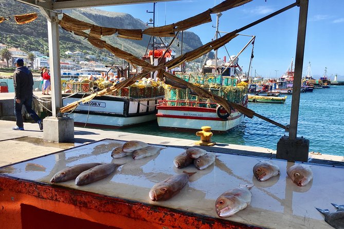 Private Day Tour to Cape Point , Penguins, Wine or Beer Tasting - Boyes Drive and the return toward Constantia