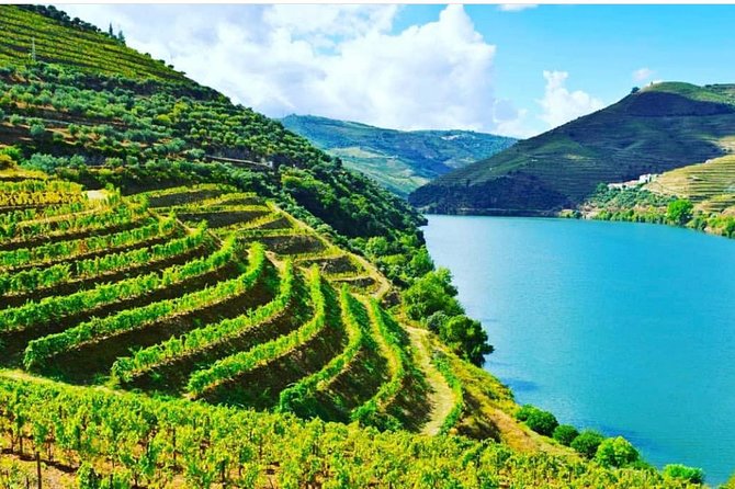 Private Douro Valley Food and Wine Tour From Porto - Starting in Peso da Régua with river views