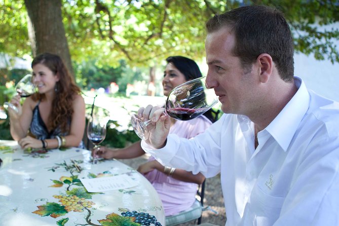 Private Full Day Stellenbosch Wine Tour with Pick Up and Drop Off - What the private guide adds