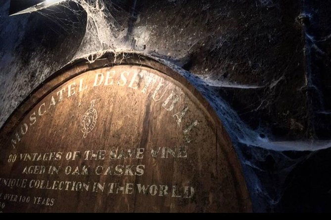 Private Lisbon Arrabida Wine Tour: Food & Wines, Mountain and Sea - Two wineries, with several possible combinations