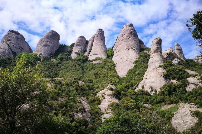 Private Montserrat with Lunch and Wine Tasting from Barcelona - Why this makes a strong Barcelona day trip