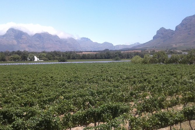 Private Stellenbosch, Franschhoek Paarl Wine Tour from Cape Town - Three wine regions, one well-paced day