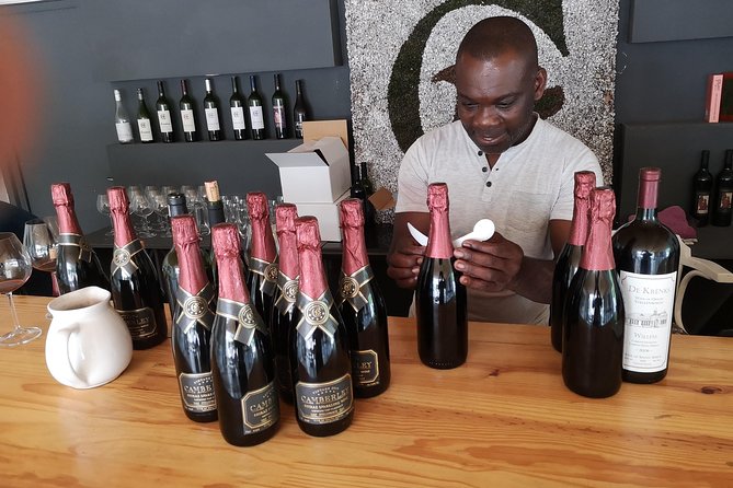 Private Stellenbosch, Franschhoek Paarl Wine Tour from Cape Town - What the guides add to the day