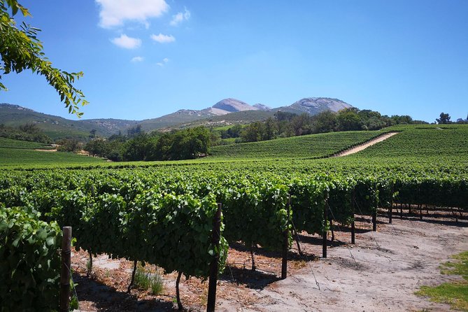Private Stellenbosch, Franschhoek Paarl Wine Tour from Cape Town - Helshoogte: the scenic link to Franschhoek