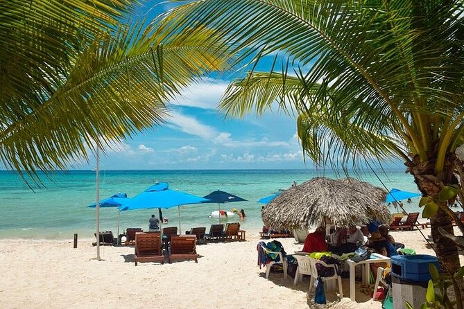 Private Tour: 5-Hour Cozumel Sightseeing with Private Driver and Tequila Tasting - El Mirador and Cozumel’s wilder east side