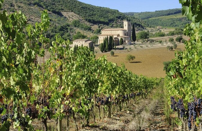 Private Tour: Montalcino Wine Tasting Experience - Why this private Montalcino day works well