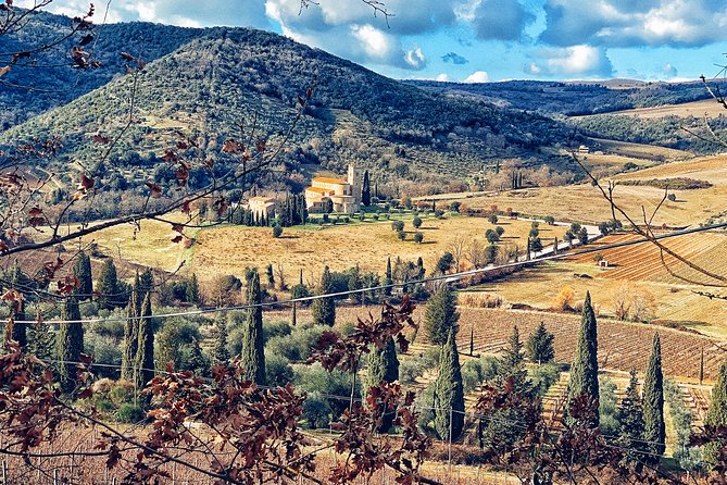 Private Tour: Montalcino Wine Tasting Experience - Transport from Siena and Arezzo
