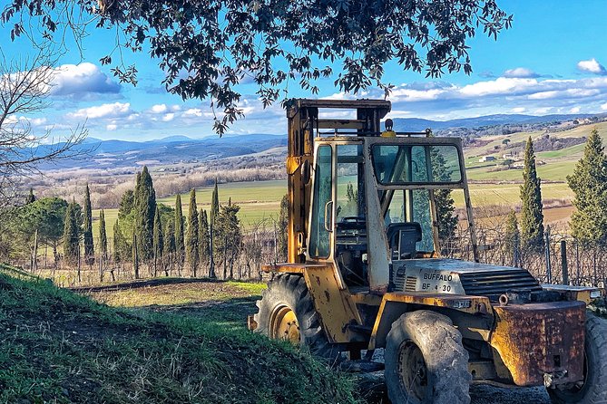 Private Tour: Montalcino Wine Tasting Experience - Who will get the most from this experience