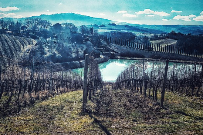 Private Tour: Montalcino Wine Tasting Experience - Booking timing, cancellation, and small practical matters