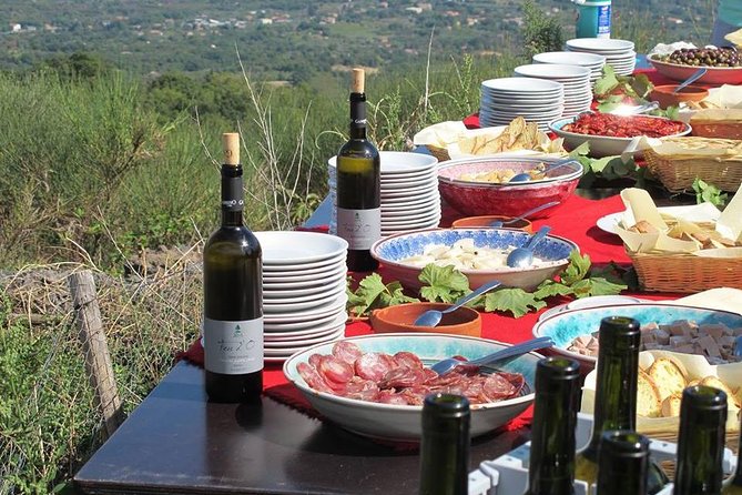 Private tour of Etna and Winery Visit with Food and Wine Tasting from Taormina - Honey, Olive Oil, and Mountain Produce in Zafferana