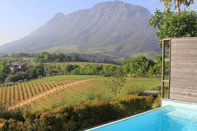Private Tour of Top 5 Stellenbosch Wineries From Cape Town - Five useful things to know before booking