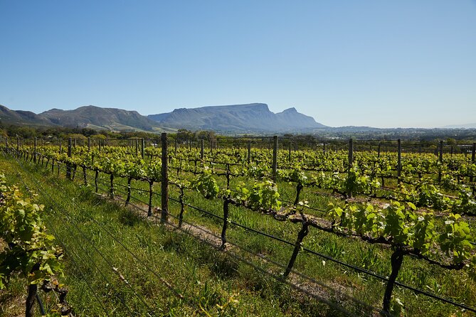 Private Tour of Top 5 Stellenbosch Wineries From Cape Town - Boschendal and the scale of the valley