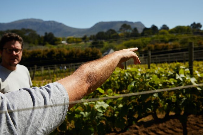 Private Tour of Top 5 Stellenbosch Wineries From Cape Town - Tastings, lunch, and the real cost