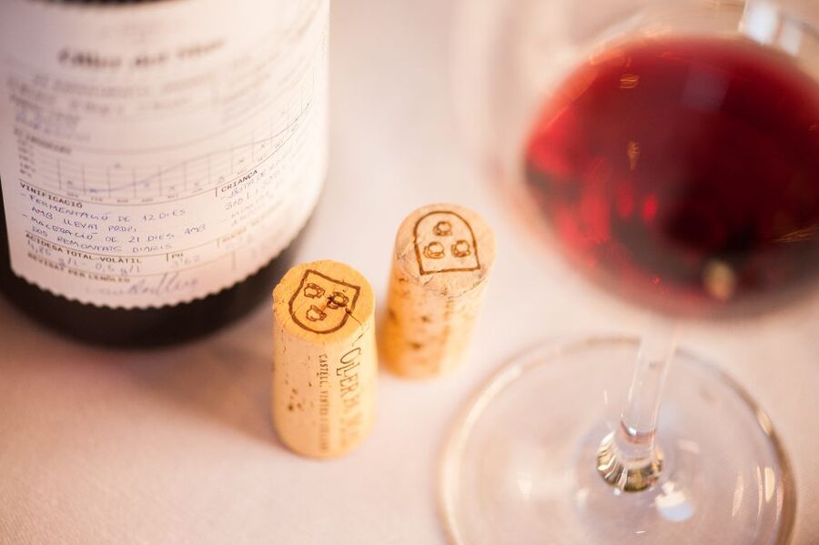 Private Wine, Tapas & Cava Experience from Barcelona - Guides make a large difference