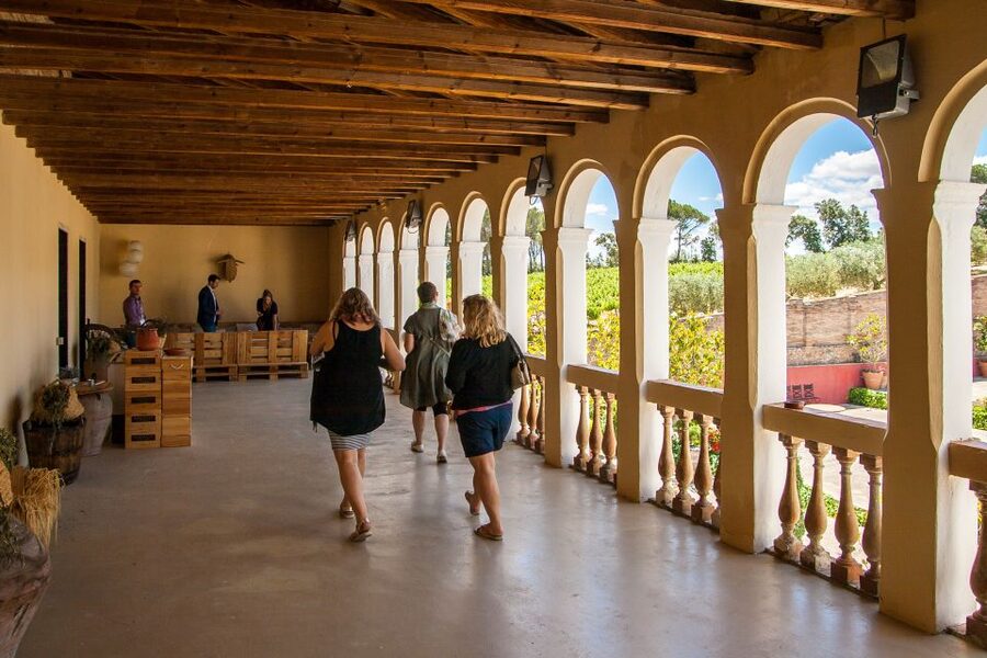 Private Wine, Tapas & Cava Experience from Barcelona - Comfort, timing, and access