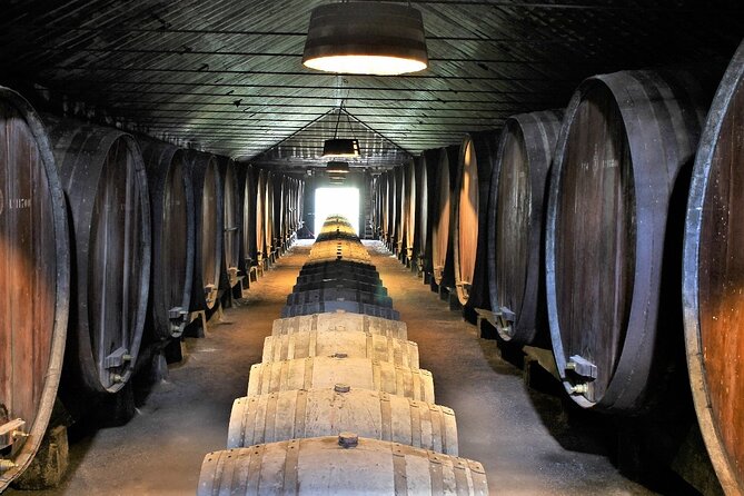 Private Wine Tasting in the Setúbal Wine Region, from Lisbon - José Maria da Fonseca: the anchor of the day