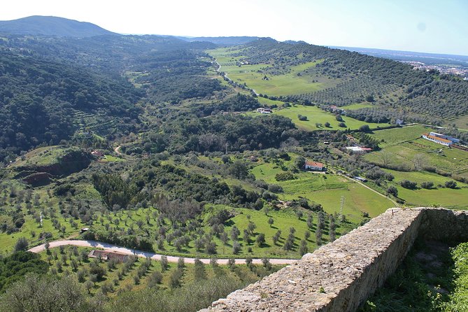 Private Wine Tasting in the Setúbal Wine Region, from Lisbon - Quinta do Alcube and the working side of wine