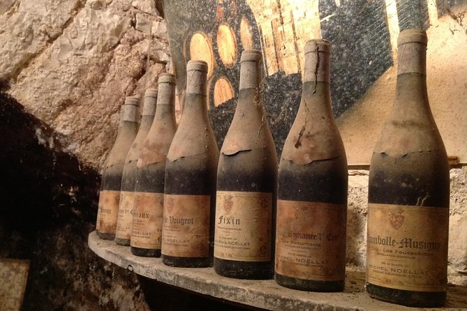 Private Wine Tasting Tour - Burgundy Uncorked!! - Meet a grower in Santenay