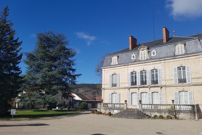 Private wine tasting workshop by Dufouleur - Bourgogne - The tasting itself: relaxed, broad, and personal