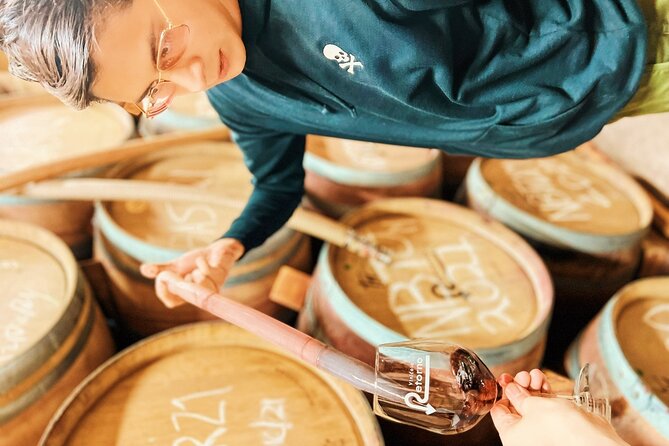 Private Wine Tour at Valle de Guadalupe (A wine tasting included). - Starting in Ensenada, then heading into wine country